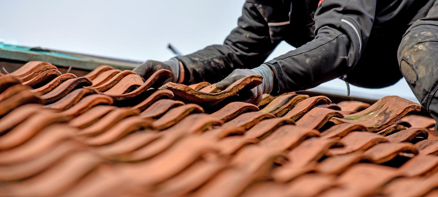Slate Roof 3
